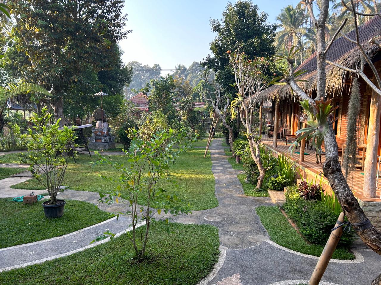 Lush, terraced rice paddies in Desa Undisan under a soft morning light